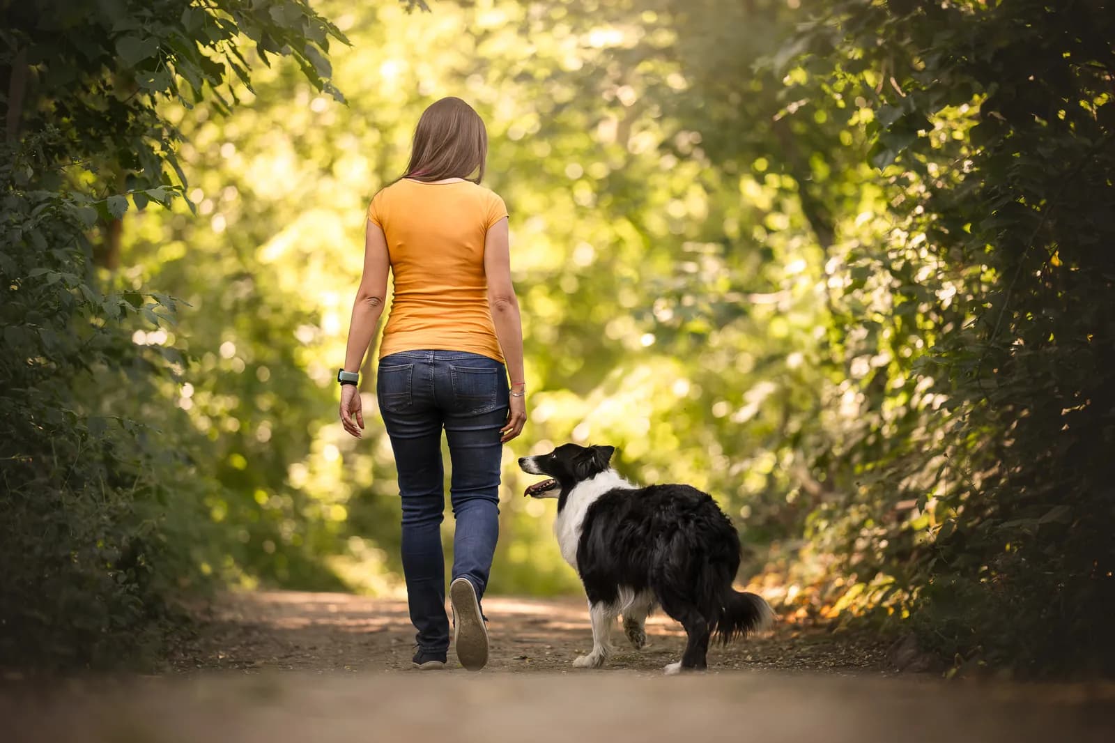 Katharina geht mit ihrem Border Collie einen sonnigen Waldweg entlang