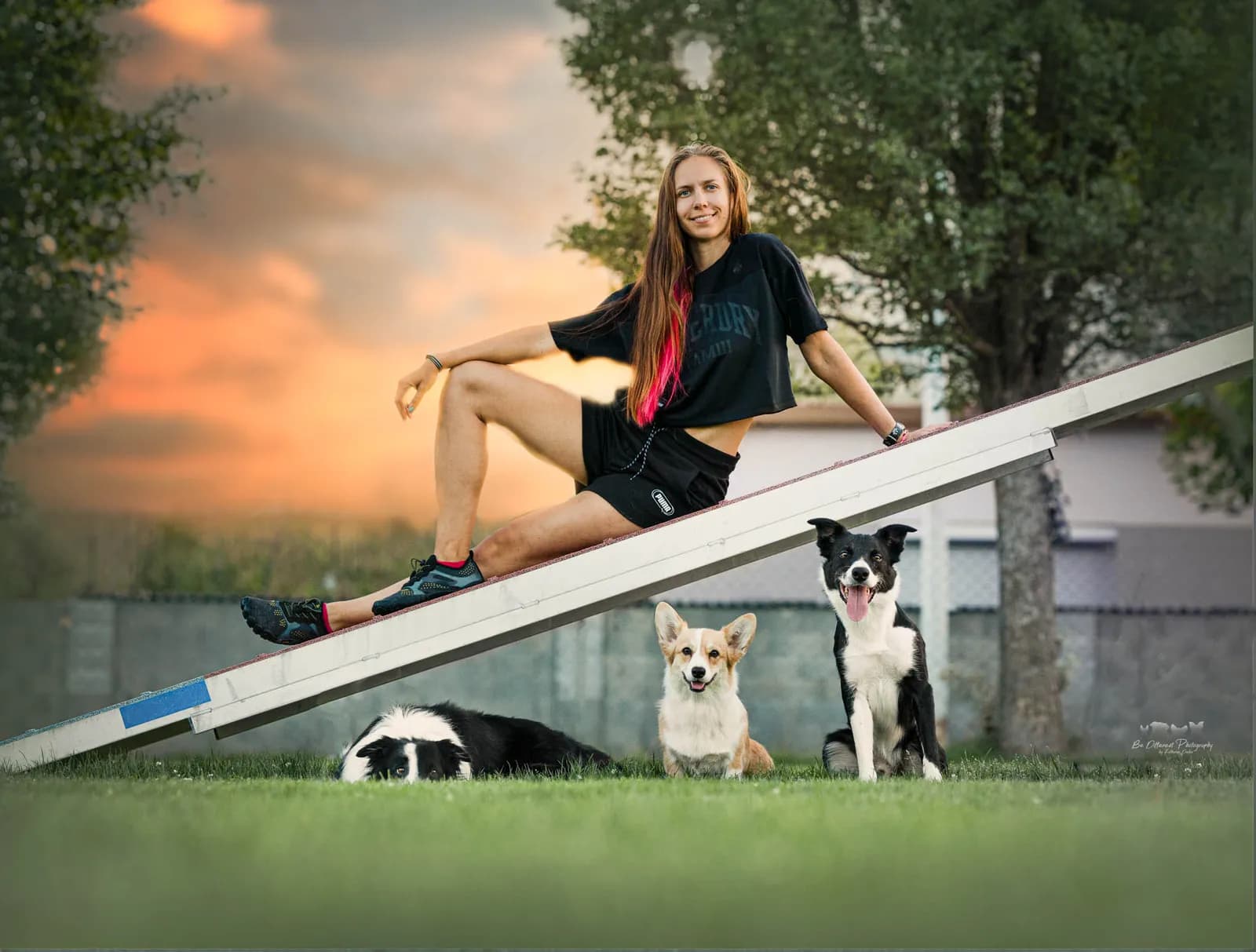 Katharina mit drei Hunden auf einem Agility-Gerät im Abendlicht