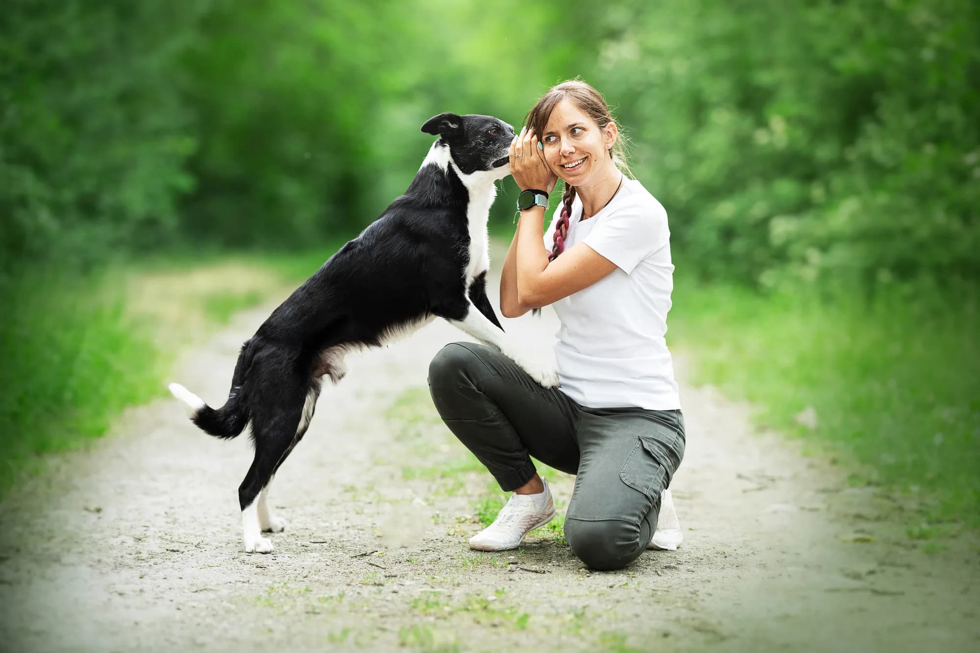 Border Collie springt freudig zu seiner Trainerin auf einem Waldweg